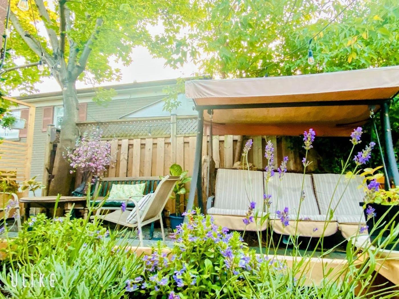 Toronto Bed & Breakfast - Free Parking المظهر الخارجي الصورة